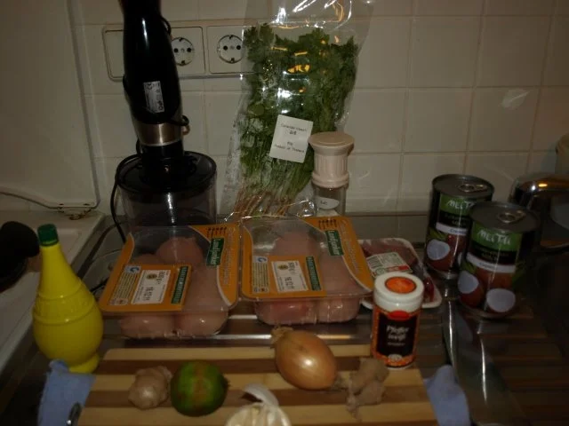 Thailändisches Korianderhähnchen - Rezept - Bild Nr. 5