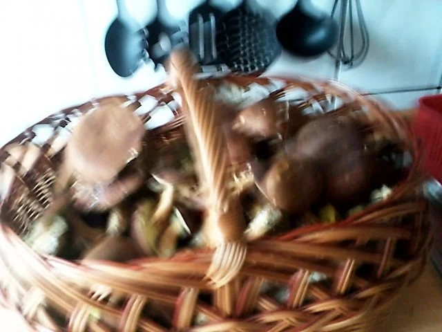 Rezept: gebratene Maronenhüte gebratene Maronenhüte - Rezept