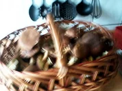 gebratene Maronenhüte - Rezept