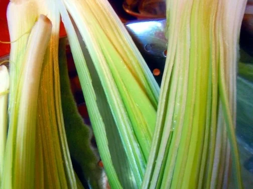 Porree-Möhren-Gemüse in Cidre - Rezept - Bild Nr. 2