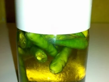 Rezept: Gewürze: Eingelegte Chillies Bild Nr. 3 Gewürze: Eingelegte Chillies - Rezept - Bild Nr. 3