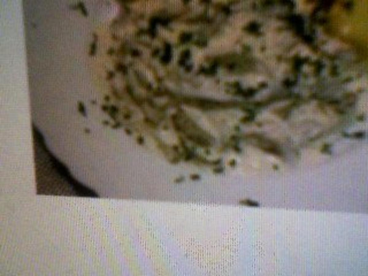 Hausgemachter Matjessalat - Rezept mit Bild - kochbar.de