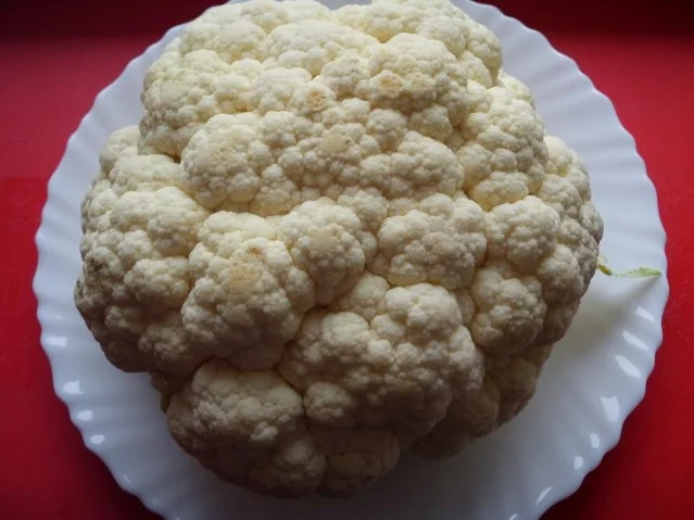 Rezept: Blumenkohl klassisch Bild Nr. 2 Blumenkohl klassisch - Rezept - Bild Nr. 2