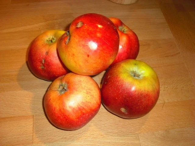 Rezept: Apfeltorte Brigitta Bild Nr. 6 Apfeltorte Brigitta - Rezept - Bild Nr. 6