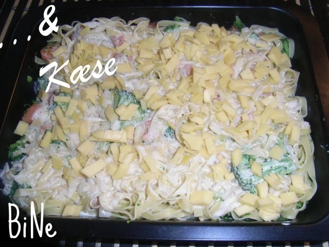 BiNe` S TAGLIATELLE -  LACHS - AUFLAUF - Rezept - Bild Nr. 6