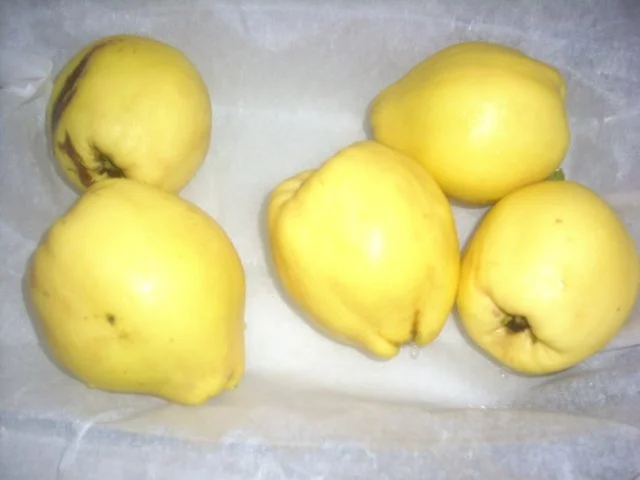 Kokos-Streuselkuchen mit Quitten - Rezept - Bild Nr. 2