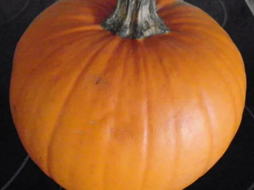 Kürbis - Pie ... - Rezept - Bild Nr. 4