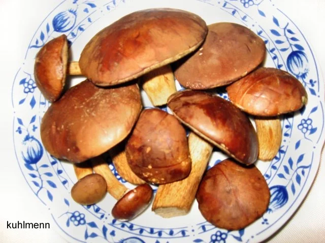 Rezept: Waldpilze trocknen Bild Nr. 2 Waldpilze trocknen - Rezept - Bild Nr. 2