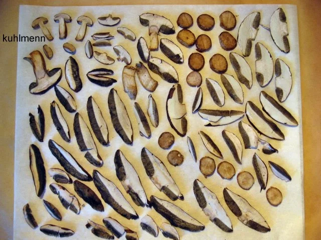 Rezept: Waldpilze trocknen Bild Nr. 3 Waldpilze trocknen - Rezept - Bild Nr. 3