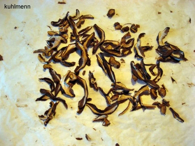Rezept: Waldpilze trocknen Bild Nr. 4 Waldpilze trocknen - Rezept - Bild Nr. 4