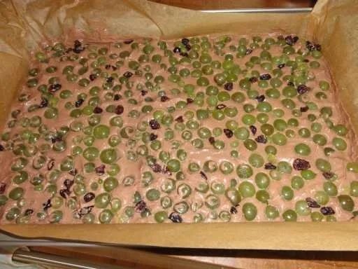 Schoko-Traubenkuchen vom Blech - Rezept - Bild Nr. 2