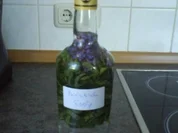 Borretsch Essig - Rezept