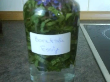 Rezept: Borretsch Essig Bild Nr. 7 Borretsch Essig - Rezept - Bild Nr. 7