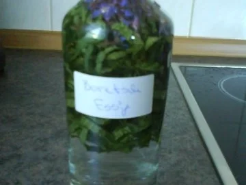 Rezept: Borretsch Essig Bild Nr. 2 Borretsch Essig - Rezept - Bild Nr. 2