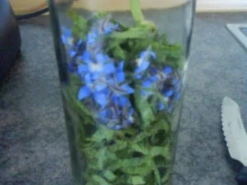 Rezept: Borretsch Essig Bild Nr. 6 Borretsch Essig - Rezept - Bild Nr. 6