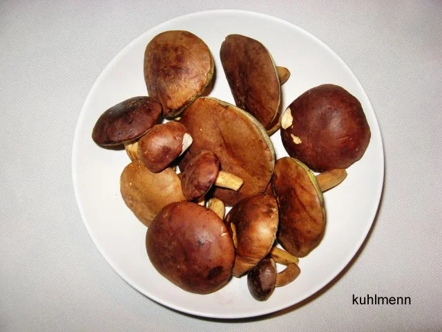 Rezept: Pasta mit Waldpilz-Tomatensoße Bild Nr. 2 Pasta mit Waldpilz-Tomatensoße - Rezept - Bild Nr. 2