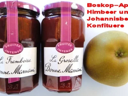 Rezept: Linzertorte Gusto Marcos Bild Nr. 4 Linzertorte Gusto Marcos - Rezept - Bild Nr. 4