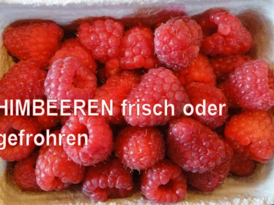 Rezept: Kastanien-Kuchen auf Himbeer-Spiegel und Créme-Frâiche Bild Nr. 11 Kastanien-Kuchen auf Himbeer-Spiegel und Créme-Frâiche - Rezept - Bild Nr. 11