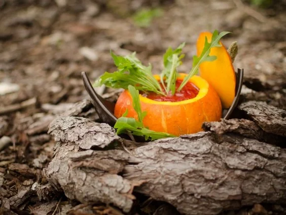 Kürbis-Rote Beete Suppe mit Whisky - Rezept - Bild Nr. 2