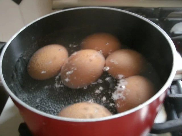 Rezept: Schwalbennester Bild Nr. 3 Schwalbennester - Rezept - Bild Nr. 3