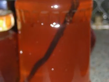 Rezept: Quittengelee ...kleine Geschichte in 2 Teilen.... Bild Nr. 5 Quittengelee ...kleine Geschichte in 2 Teilen.... - Rezept - Bild Nr. 5