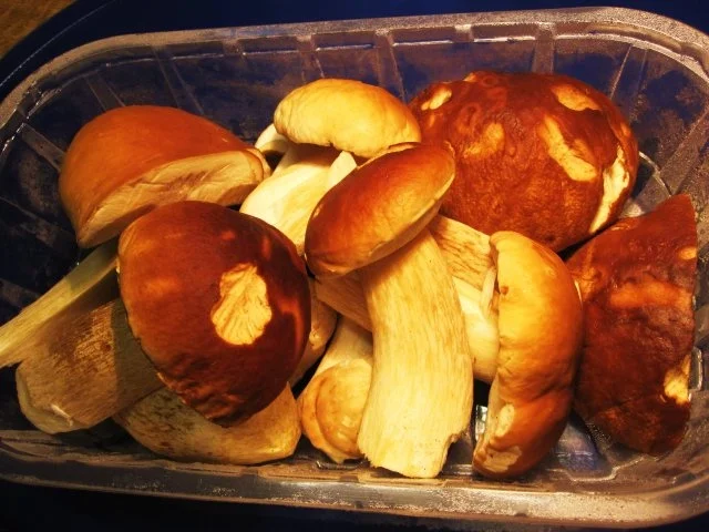 Rezept: Schweineschnitzel mit feinem Steinpilz-Sößle ... Bild Nr. 2 Schweineschnitzel mit feinem Steinpilz-Sößle ... - Rezept - Bild Nr. 2