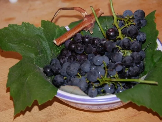 SCIROPPO DI UVA AMERICANA - Rezept - Bild Nr. 2