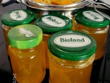 Rezept: Ingwer-Orangen-Gelee Bild Nr. 8 Ingwer-Orangen-Gelee - Rezept - Bild Nr. 8