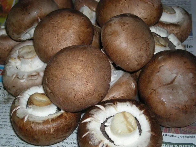 Pilzpfanne mit Frikadellchen - Rezept - Bild Nr. 2