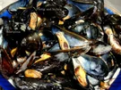 Miesmuscheln im Piccolo-Sud - Rezept