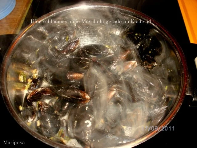 Miesmuscheln im Piccolo-Sud - Rezept - Bild Nr. 2