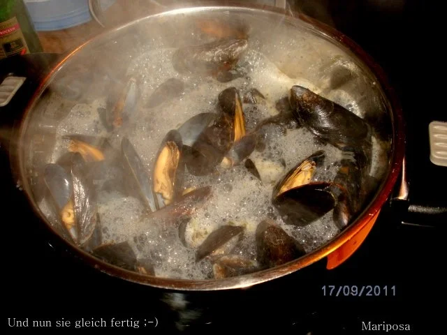 Miesmuscheln im Piccolo-Sud - Rezept - Bild Nr. 4