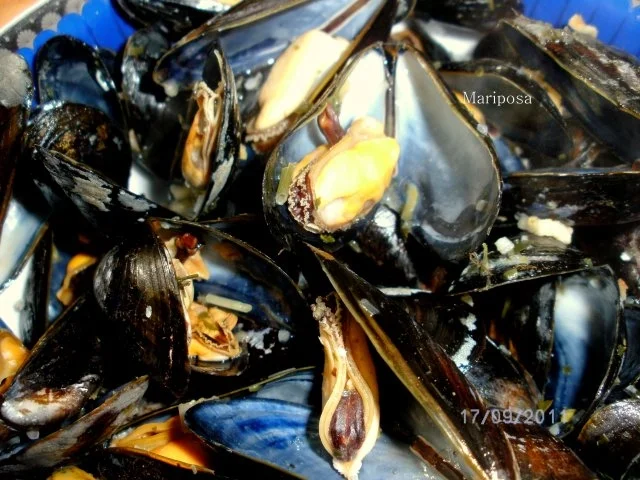 Miesmuscheln im Piccolo-Sud - Rezept - Bild Nr. 5