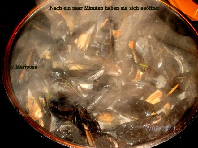 Miesmuscheln im Piccolo-Sud - Rezept - Bild Nr. 3