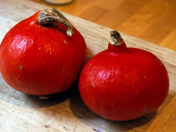 Tortelloni mit Kürbisfüllung und Salbeibutter - Rezept - Bild Nr. 3