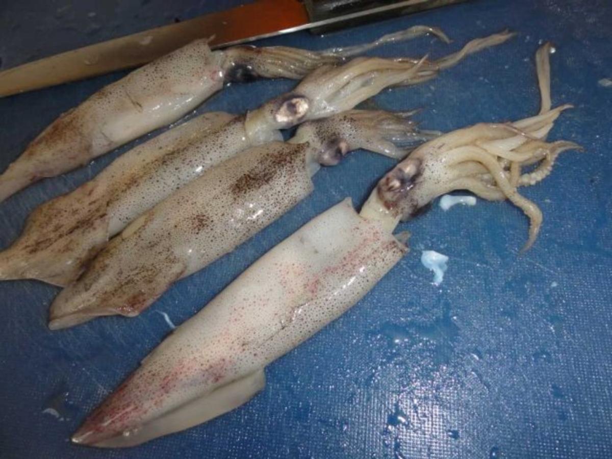 Anleitung Tintenfisch (Kalmar) vorbereiten - Rezept