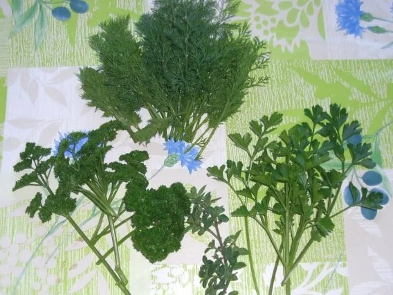 Rosmarinkartoffeln mit Kräuterquark - Rezept - Bild Nr. 6