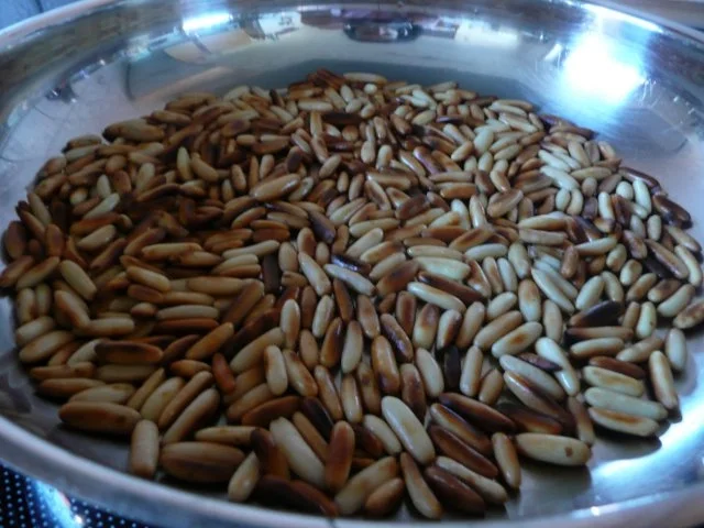 Basilikumpesto ohne Knoblauch (so hol ich mir den Sommer zurück) - Rezept - Bild Nr. 4