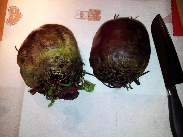 Rote Bete Suppe mit Sahnemeerettich - Rezept