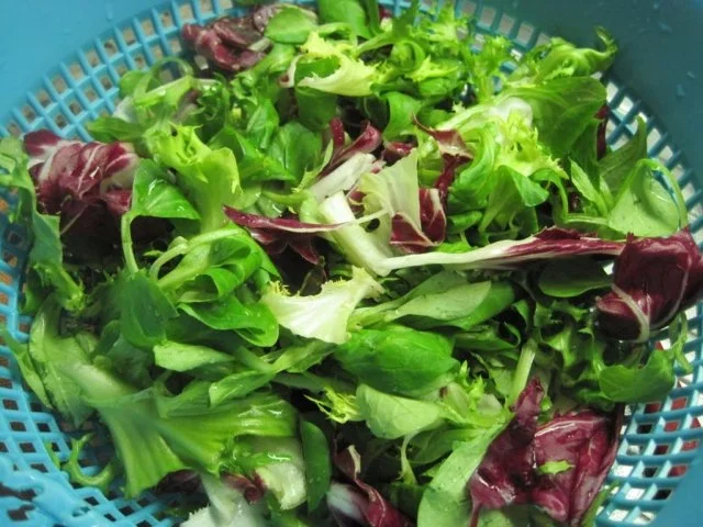 Schnitzel (Jäger und Paprika in einem) mit Pommes und Salat - Rezept - Bild Nr. 6