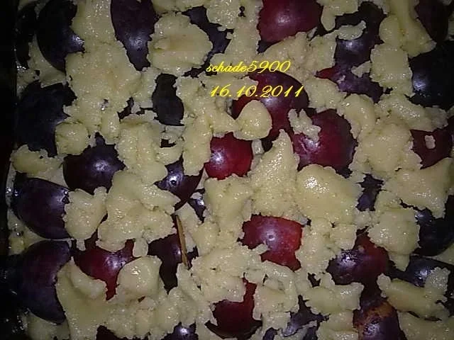 Backen: Bedeckter Pflaumenkuchen - Rezept - Bild Nr. 5