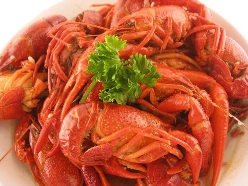 Rezept: FLUSSKREBSE IM WURZELSUD FLUSSKREBSE IM WURZELSUD - Rezept