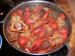 Rezept: FLUSSKREBSE IM WURZELSUD Bild Nr. 3 FLUSSKREBSE IM WURZELSUD - Rezept - Bild Nr. 3