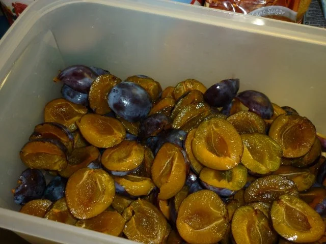 Rezept: Zwetschgenkompott Bild Nr. 2 Zwetschgenkompott - Rezept - Bild Nr. 2