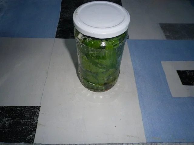 Maggikraut eingelegt - Rezept