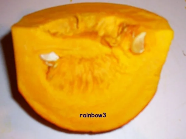 Kochen: Scharfe Kürbissuppe - Rezept - Bild Nr. 2