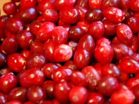 CRANBERRIES  /  FRISCHE PREISEL- /  MOOSBEEREN - Rezept - Bild Nr. 5