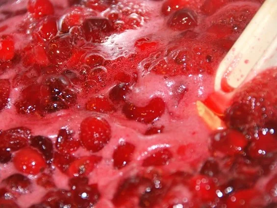 CRANBERRIES  /  FRISCHE PREISEL- /  MOOSBEEREN - Rezept - Bild Nr. 7
