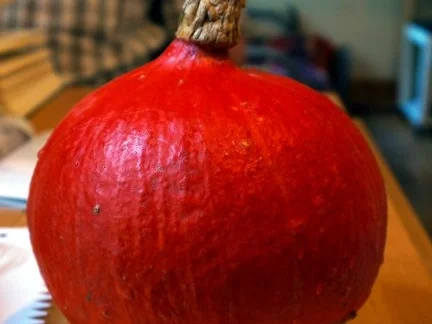 Rezept: Kürbisauflauf, orientalisch angehaucht Bild Nr. 4 Kürbisauflauf, orientalisch angehaucht - Rezept - Bild Nr. 4