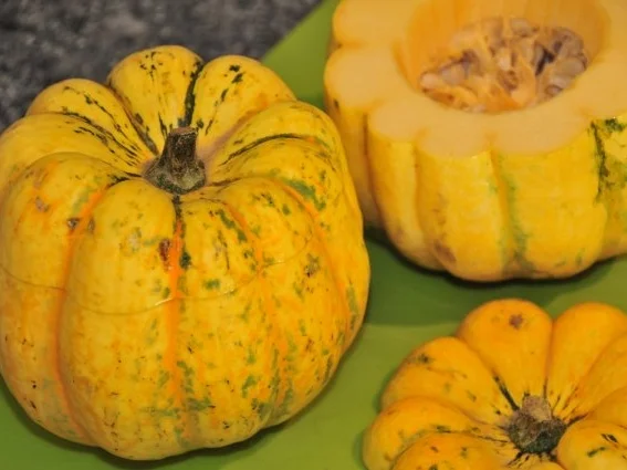 Rezept: Gorgonzola-Kürbis, gefüllt Bild Nr. 3 Gorgonzola-Kürbis, gefüllt - Rezept - Bild Nr. 3